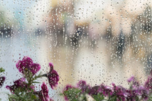 spring weather