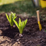 spring equipment preparation